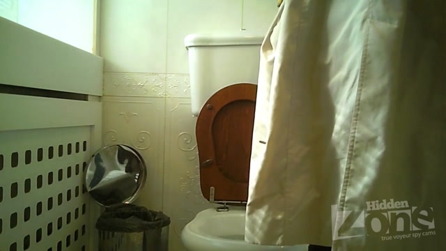 Pissing_Hidden-Zone_Toilet_-_hz_Wc2859.avi.00005.jpg