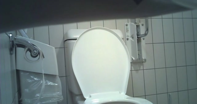 Pissing_Toilet_Indoor_-_hz_23510.mp4.00010.jpg