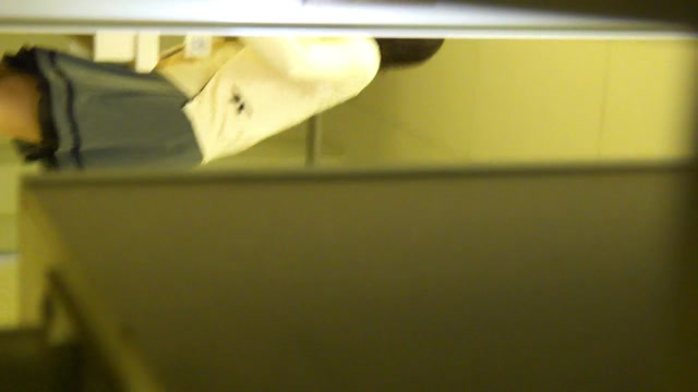 Hi-Vision_Japanese_toilet_style_-_15254883.mp4.00003.jpg