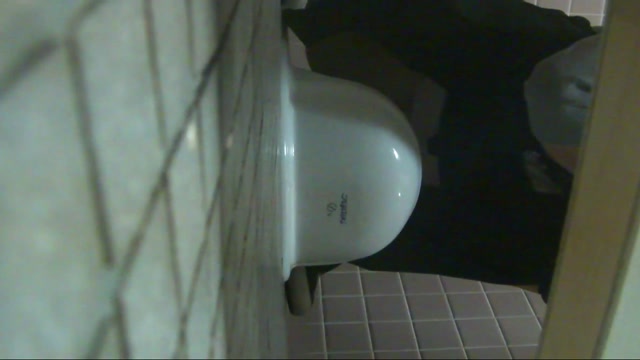 H-V_Japanese_toilet_style_-_15276444.mp4.00010.jpg