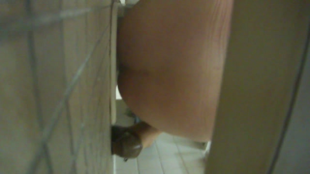 H-V_Japanese_toilet_style_-_15278196.mp4.00001.jpg