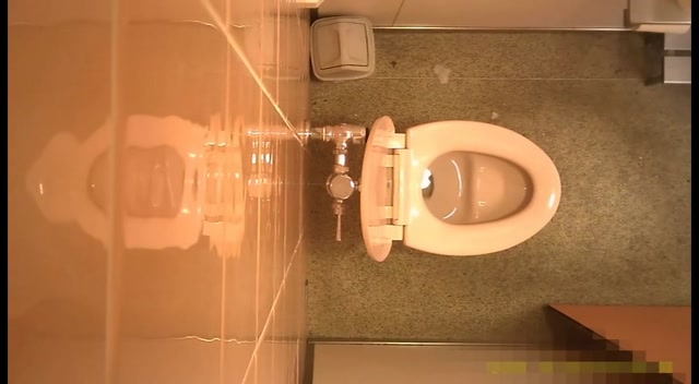 Voyeur_Toilet_-_15320519.mp4.00005.jpg