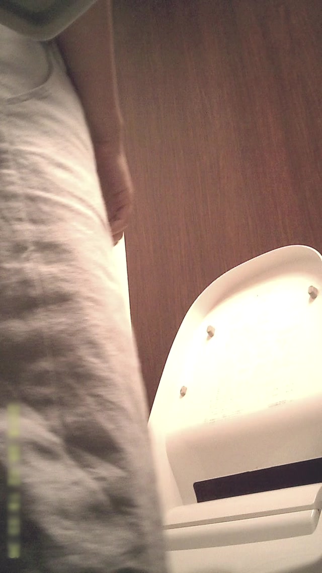 Voyeur_Toilet_-_15302734.mp4.00005.jpg