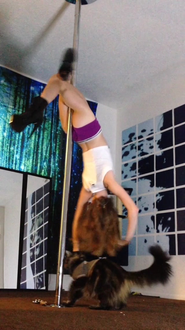 Naomi_Dee_-_58_-_X_Pole_Contest_Submission.mp4.00005.jpg