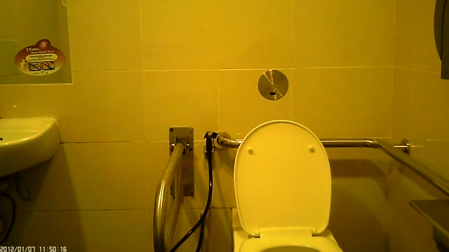 Voyeur_-_Singapore_female_toilet_29.mp4.00001.jpg