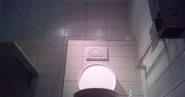 Voyeur_-_Swiss_Toilet_6.mp4.00003.jpg