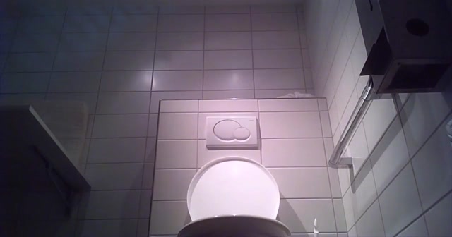 Voyeur_-_Swiss_Toilet_8.mp4.00009.jpg