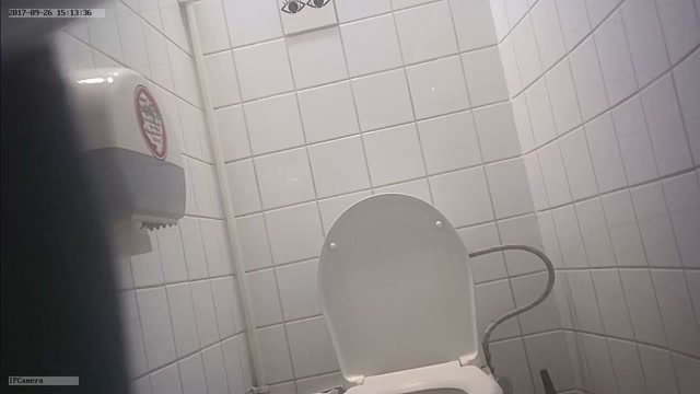 Pissing - toilet indoor 0223 - hz_20960 00011