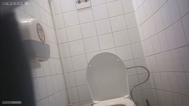 Watch Free Porno Online – Pissing – toilet indoor 0223 – hz_20960 (AVI, HD, 1280×720)