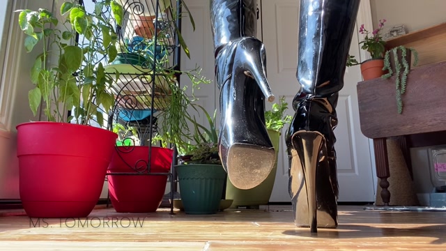 DommeTomorrow - Her Boots 00003