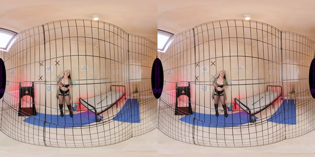 The English Mansion - Mistress Sidonia - Ultimate Prison Denial - VR 00008