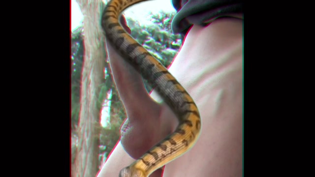 Goddess Destruction - Snake Dongs 2 00003